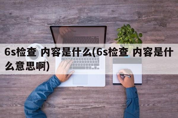 6s检查 内容是什么(6s检查 内容是什么意思啊)