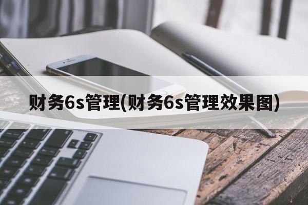 财务6s管理(财务6s管理效果图)